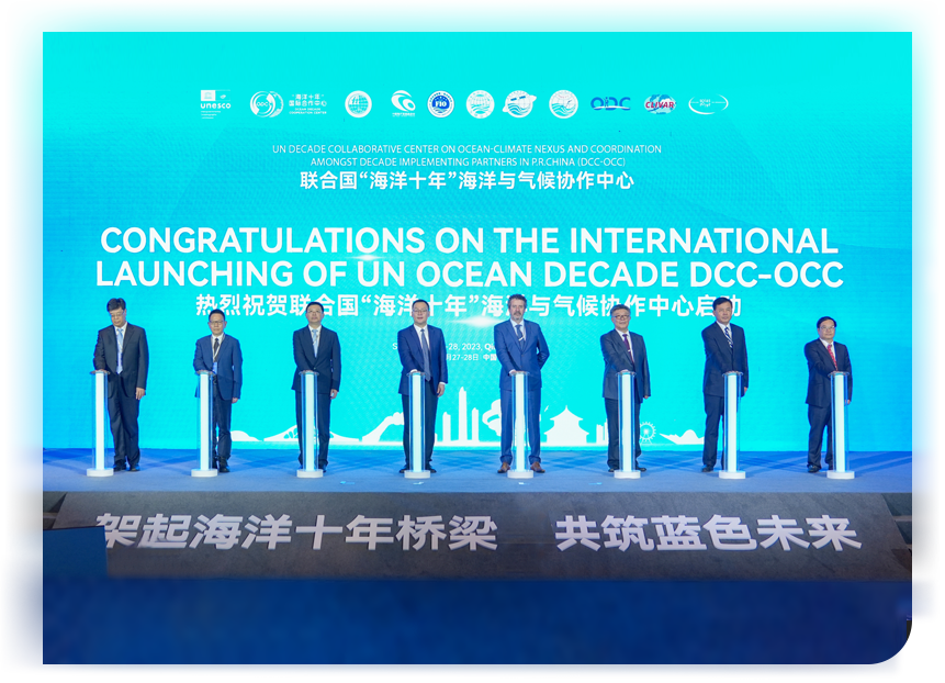 Ocean Decade Network